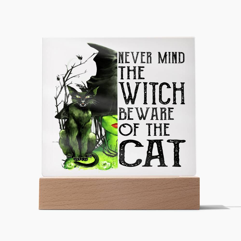 Beware Cat | Acrylic