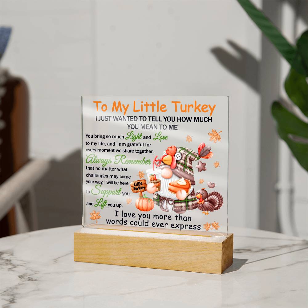 Little Turkey | Acrylic