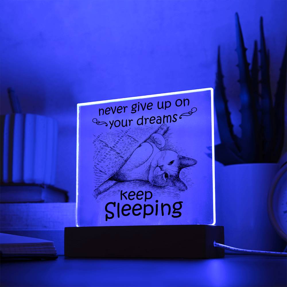 Keep Sleeping | Acrylic