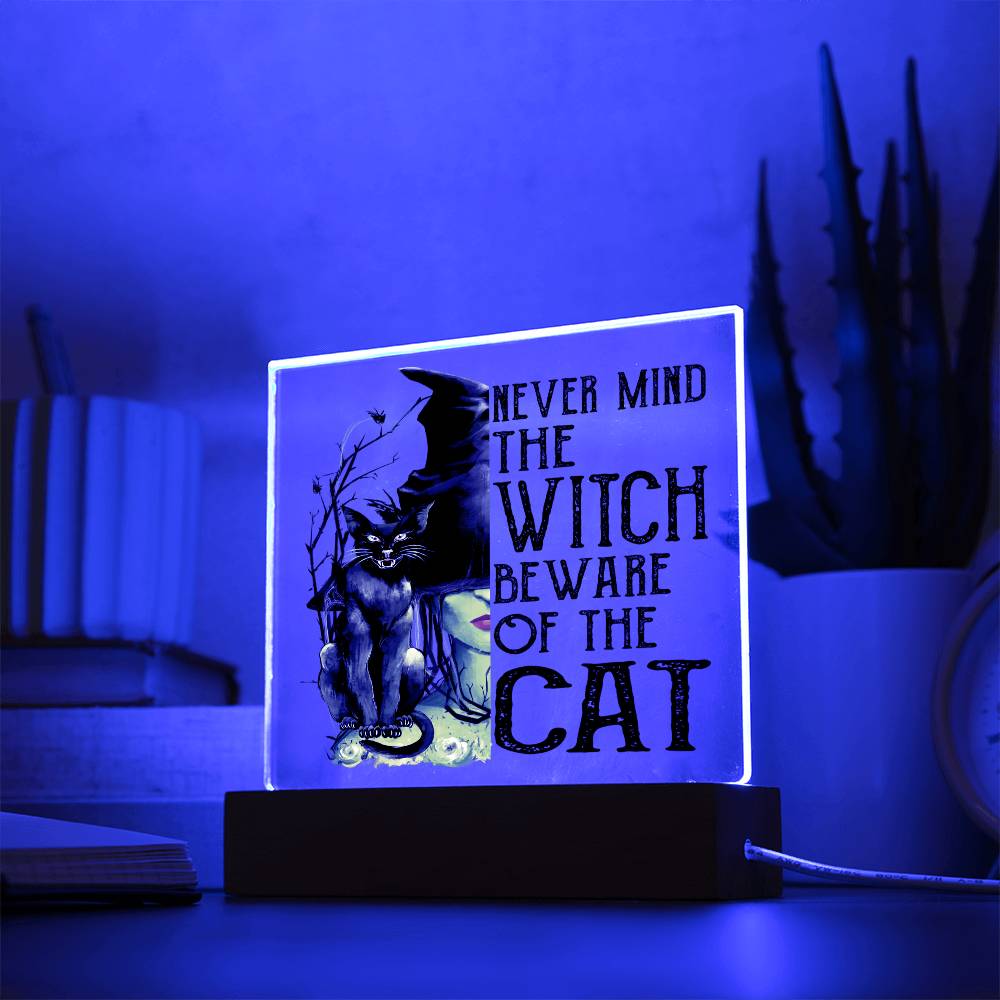 Beware Cat | Acrylic